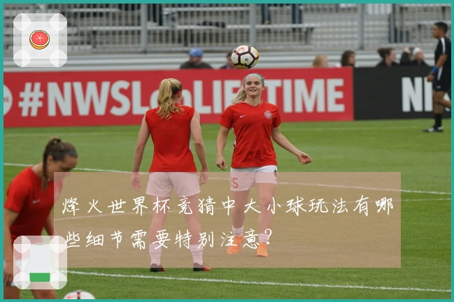 烽火世界杯竞猜中大小球玩法有哪些细节需要特别注意？