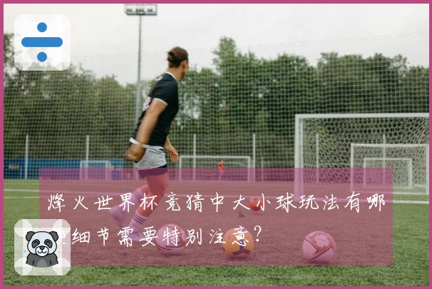 烽火世界杯竞猜中大小球玩法有哪些细节需要特别注意？