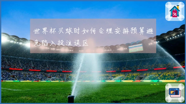 世界杯买球时如何合理安排预算避免陷入投注误区