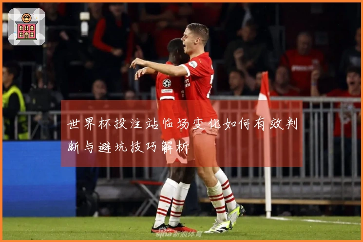 世界杯投注站临场变化如何有效判断与避坑技巧解析