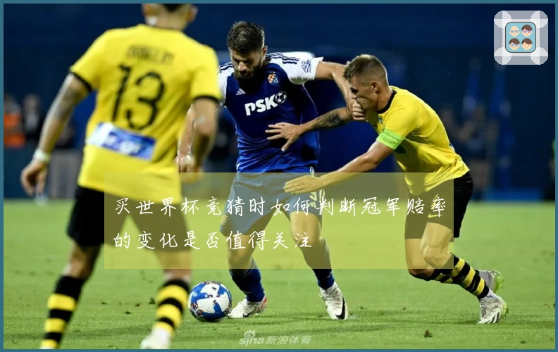 买世界杯竞猜时如何判断冠军赔率的变化是否值得关注